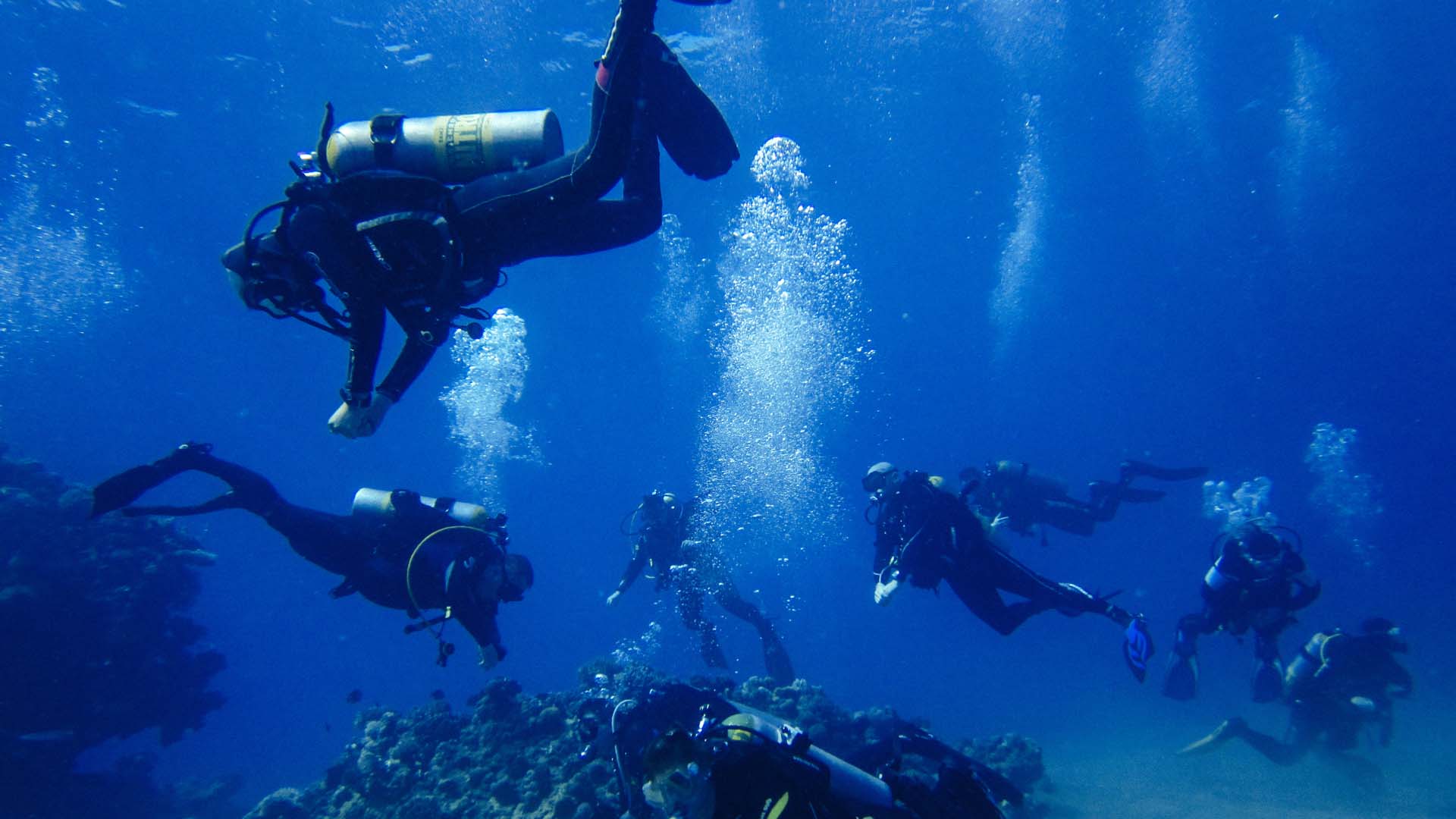 Дайв курс CMAS 3*