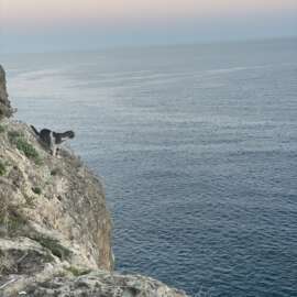 weatherappsforscubadiving