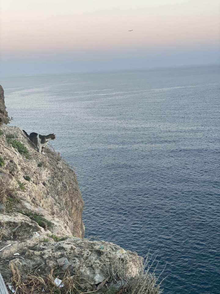 weatherappsforscubadiving